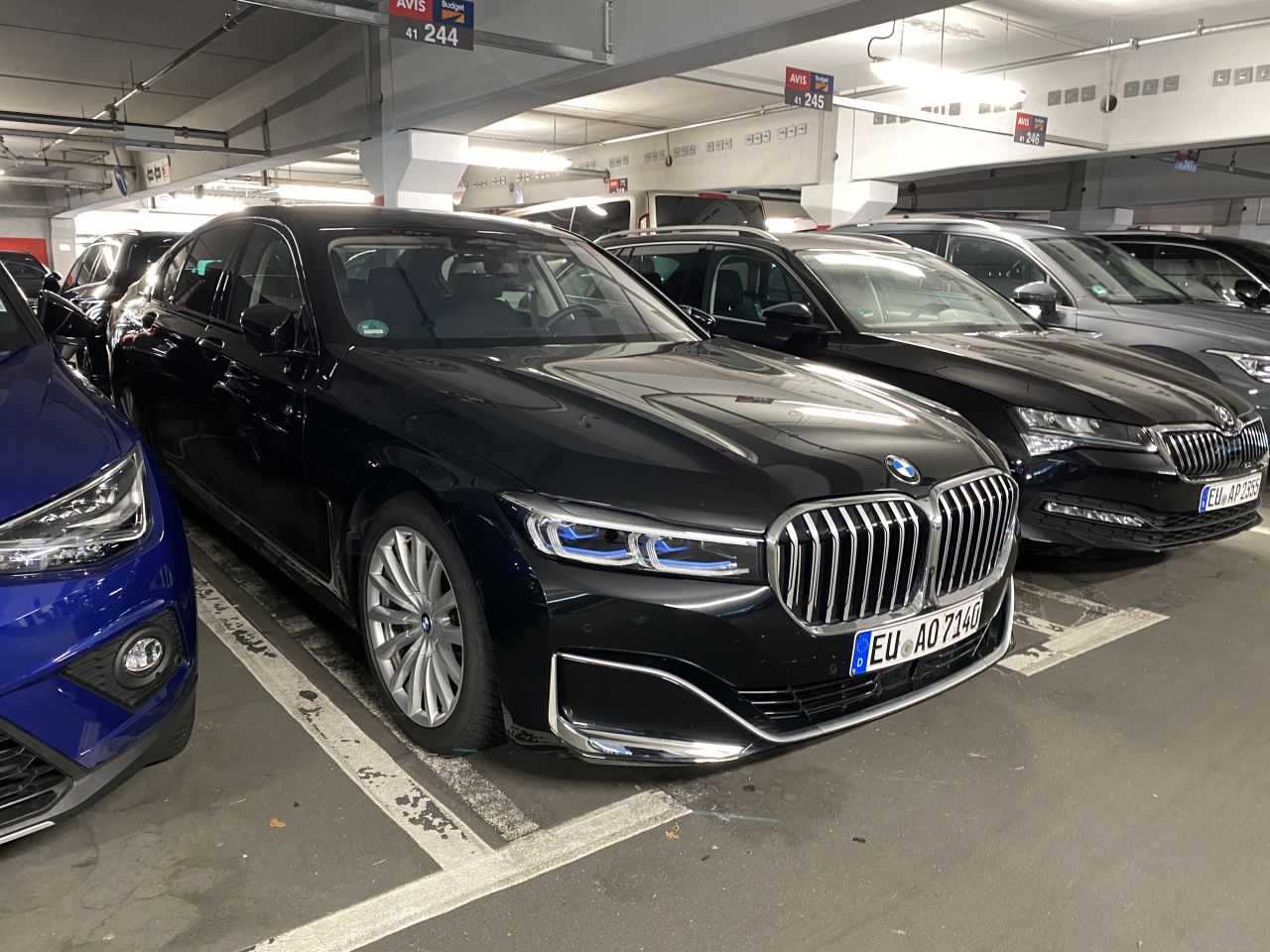 AVIS_013.jpg