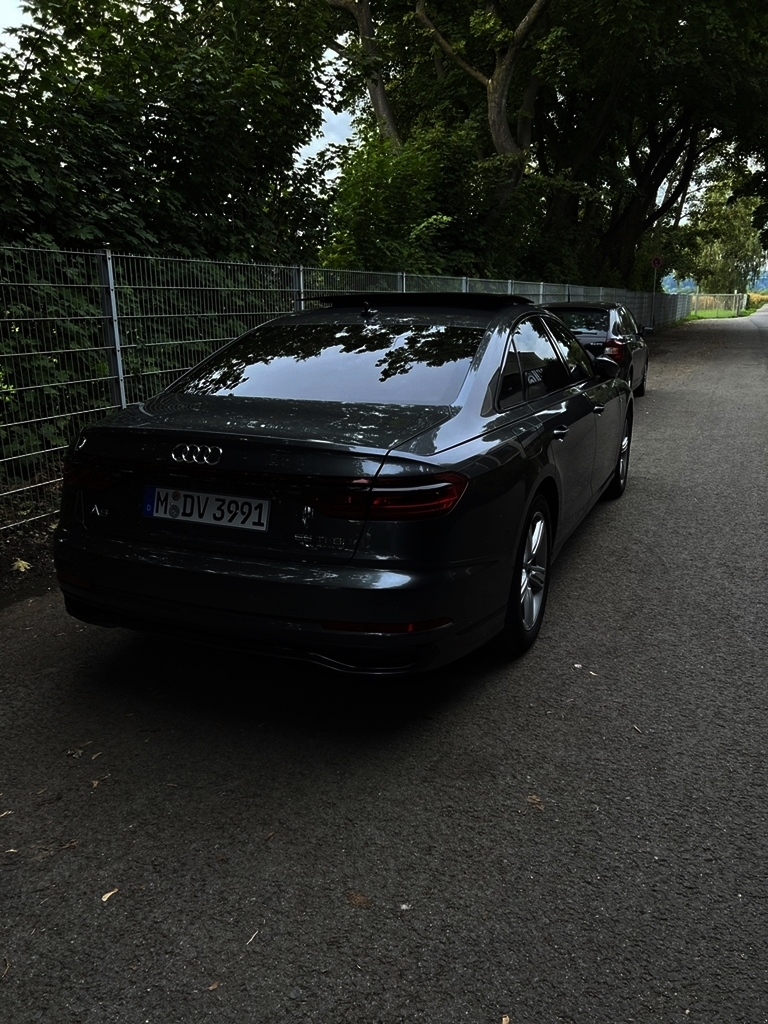 IMG_6176.jpeg