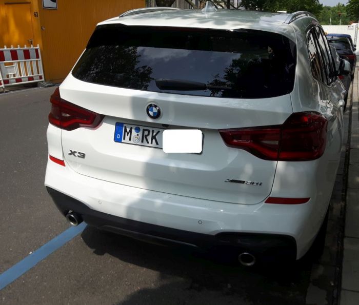 Knöllchen 3.jpg
