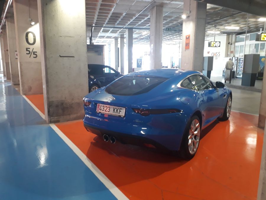 20180516_110136.jpg
