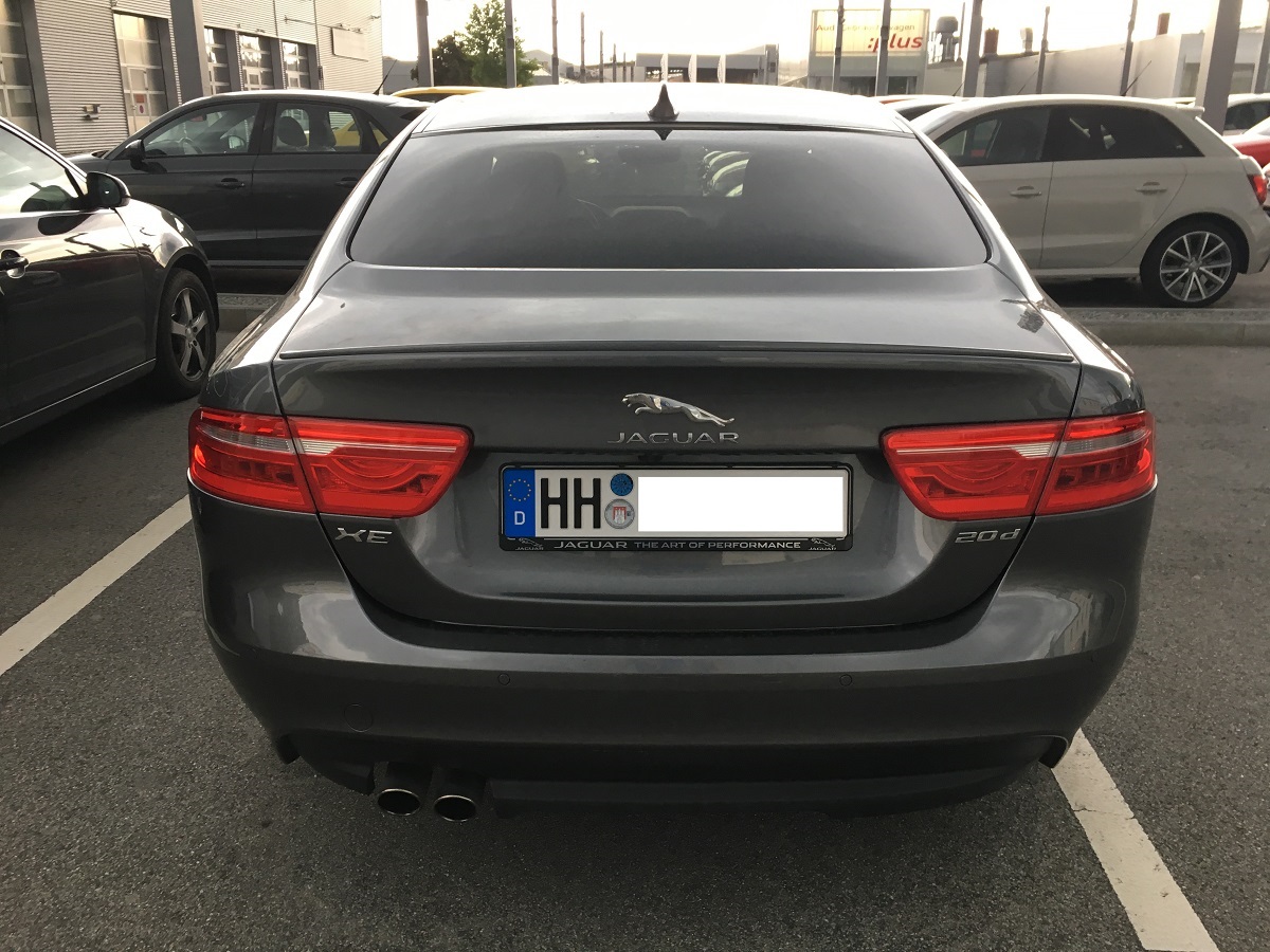 Jaguar3.jpg