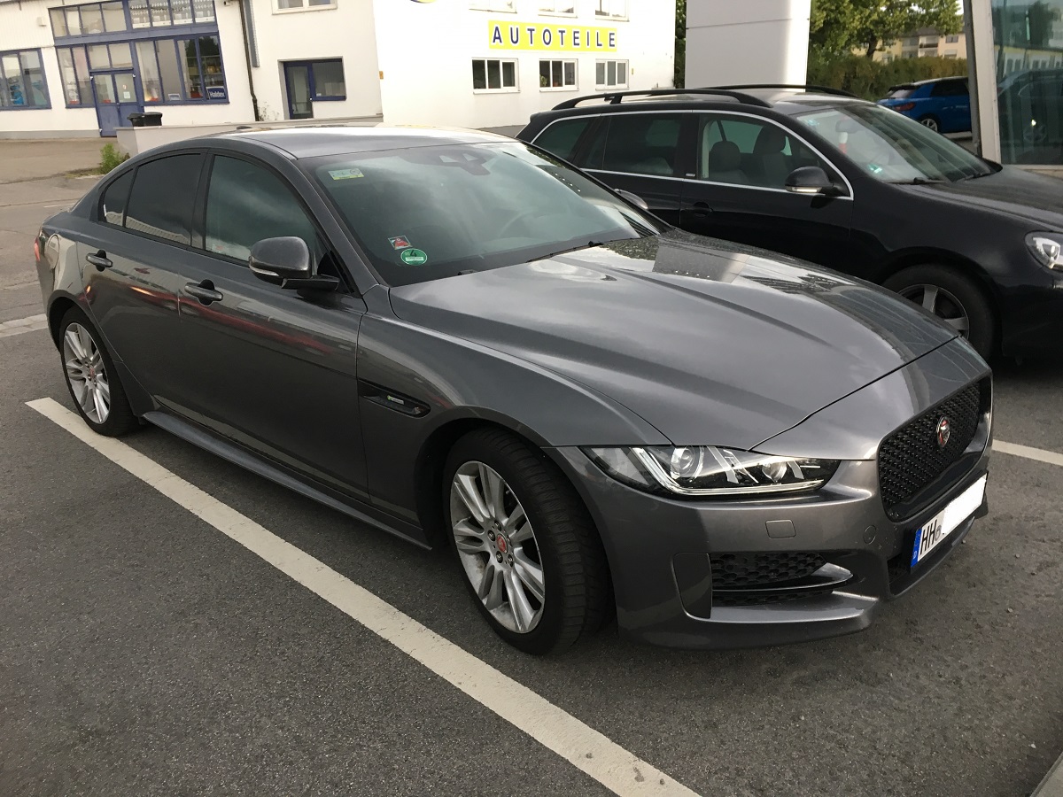Jaguar1.jpg