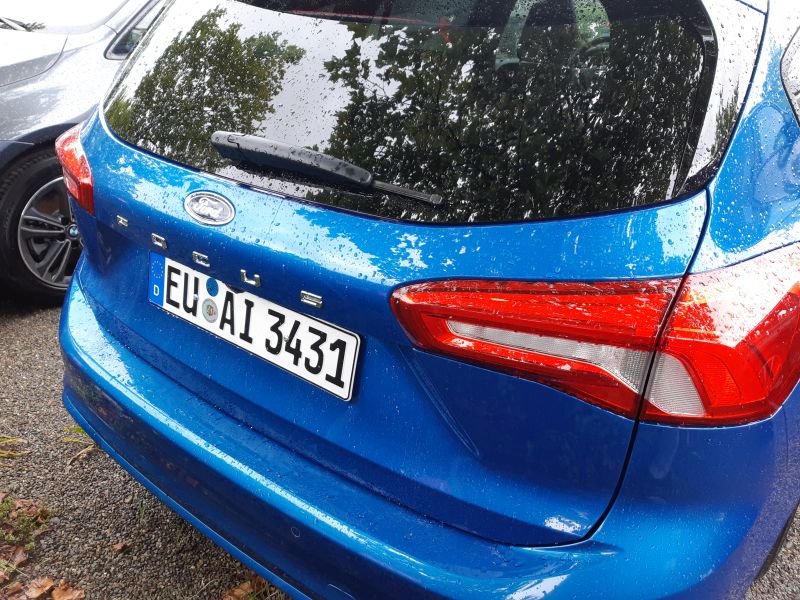 Avis Focus.jpg