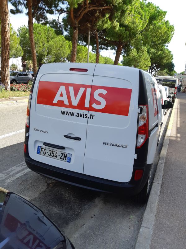 Avis.jpg