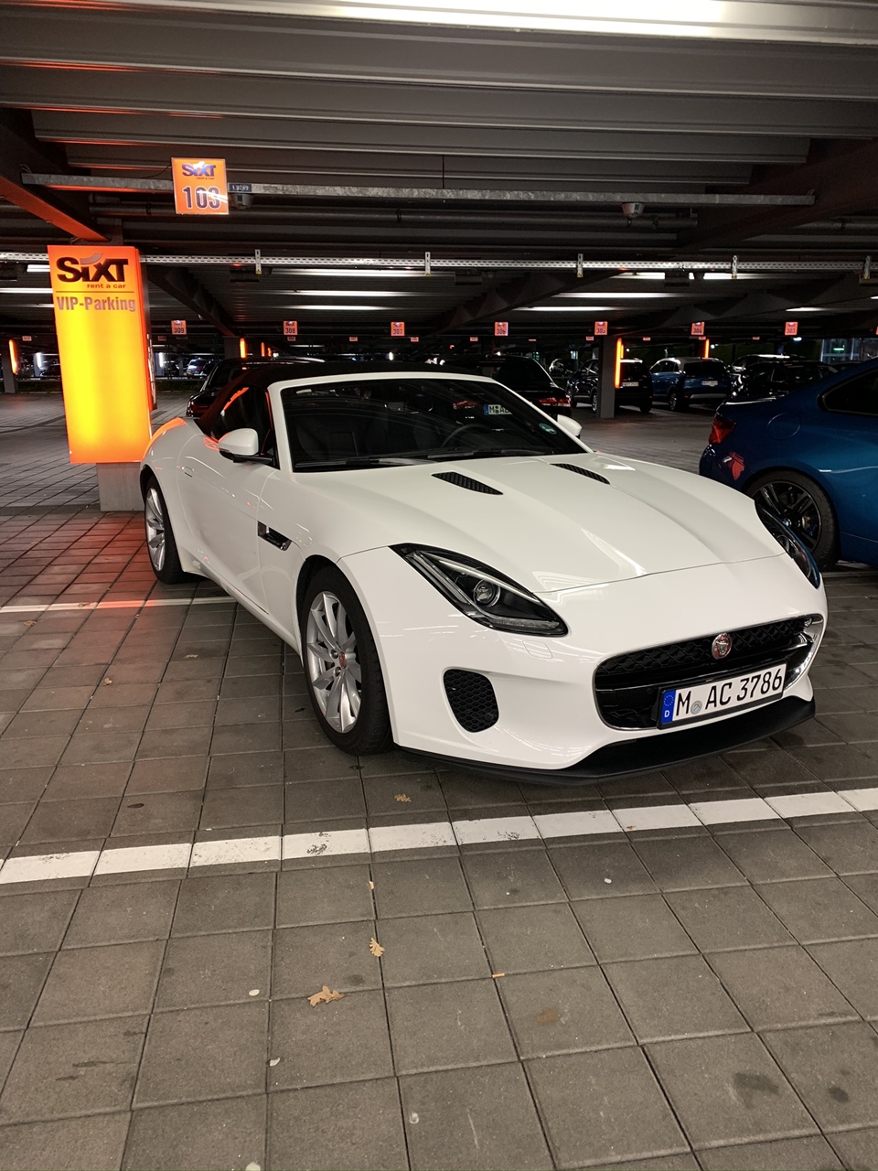 F-Type