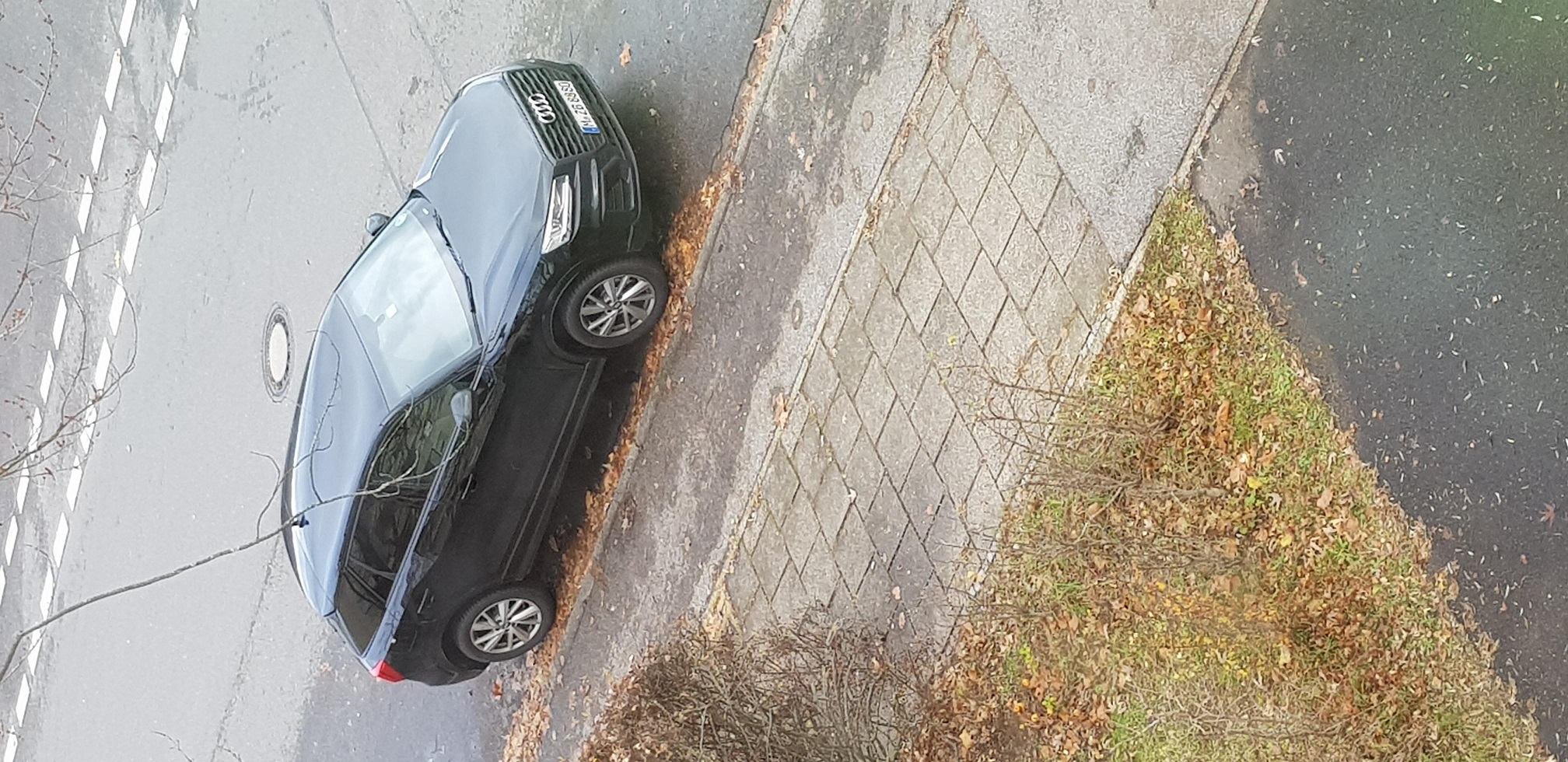 Audi Q2.jpg