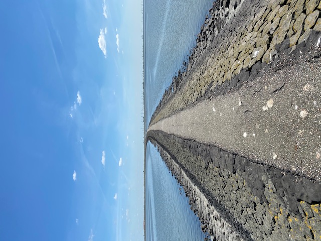 image2 (1).jpeg