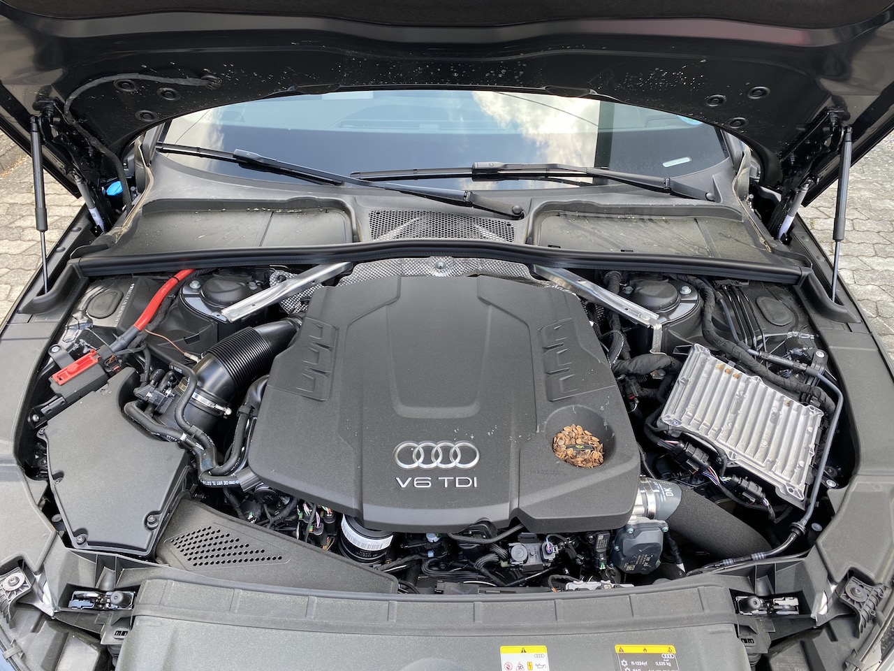 A4 Motor_001.JPG