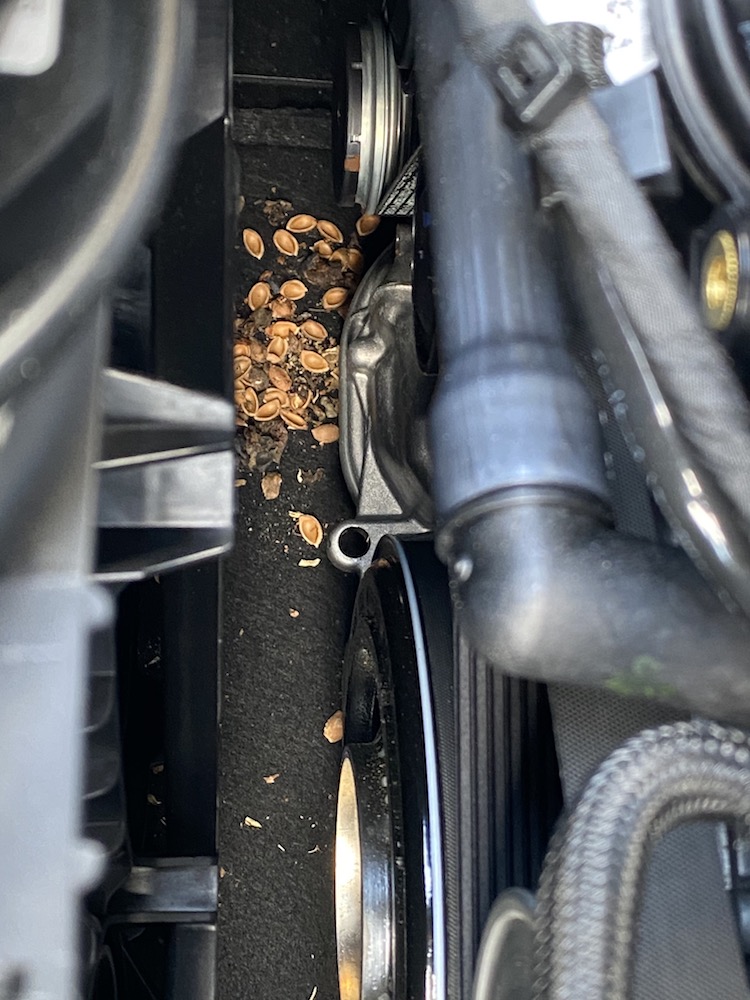 A4 Motor_002.JPG