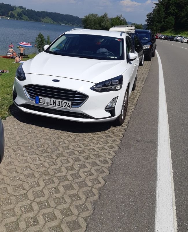 Avis.jpg