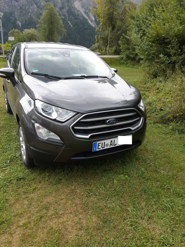 Avis ..jpg