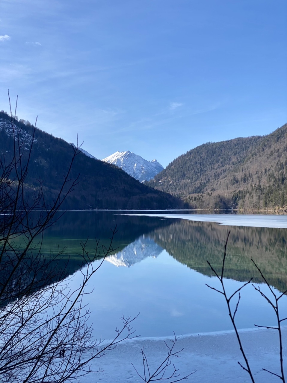 Alpsee