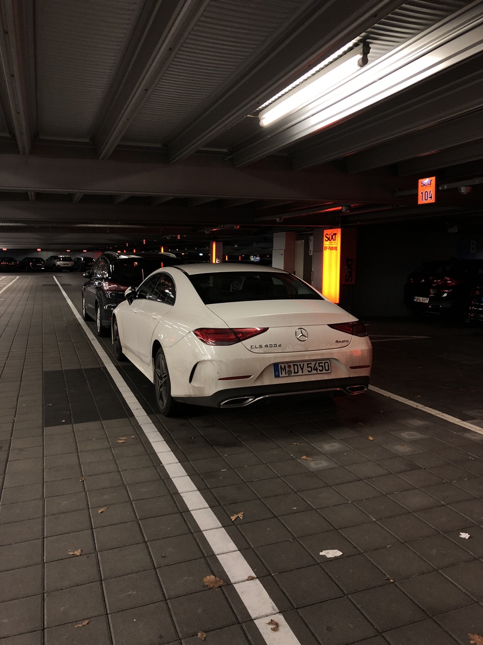 IMG_3395.jpeg