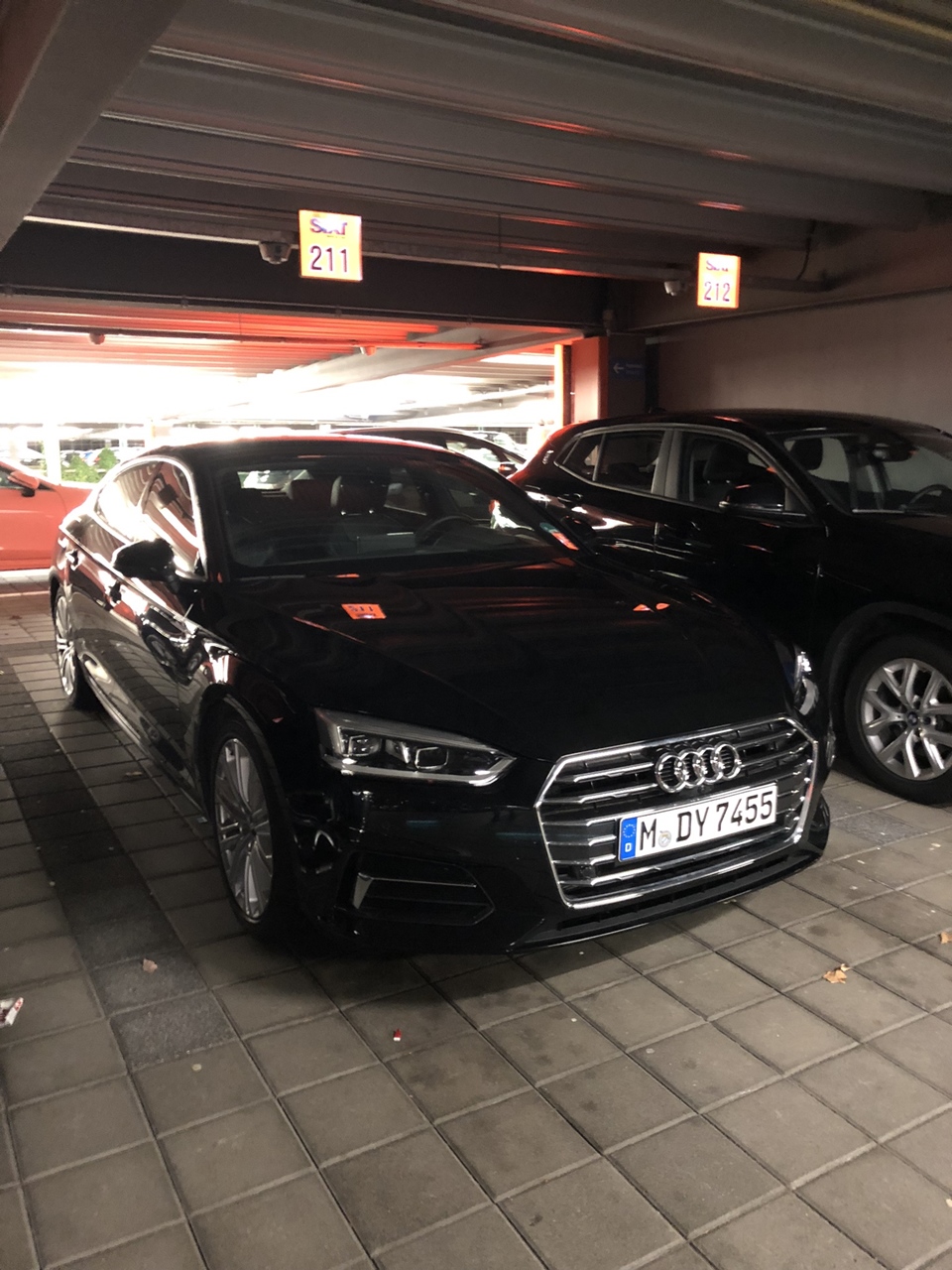 IMG_3398.jpeg