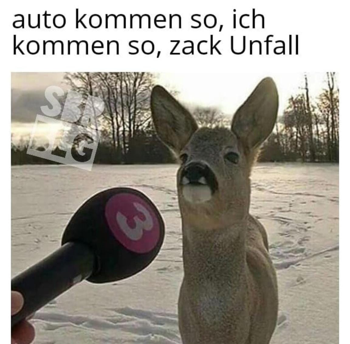 Bild 2 (Lustig (hoffentlich))