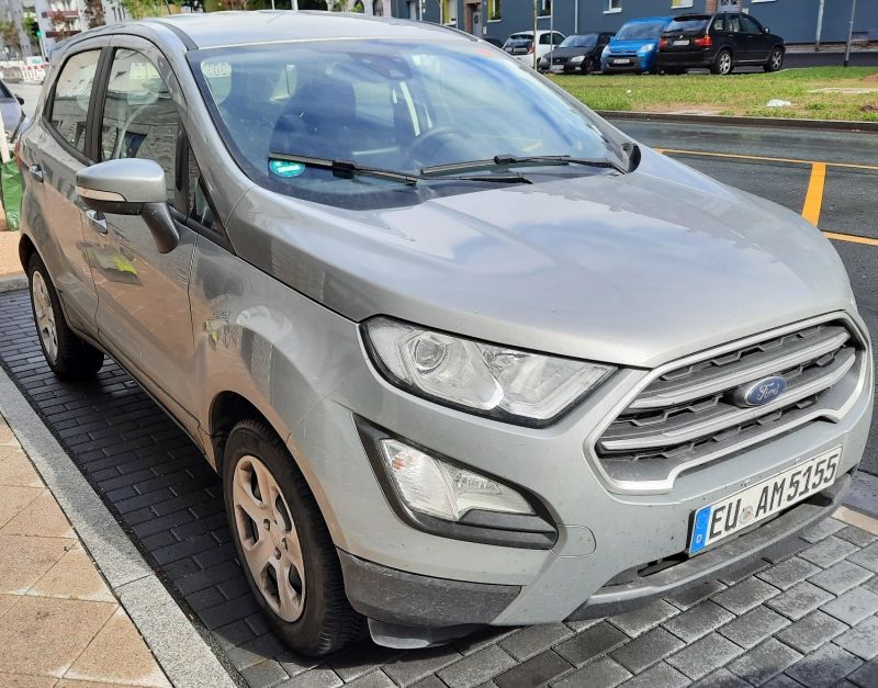 Avis Ford.jpg