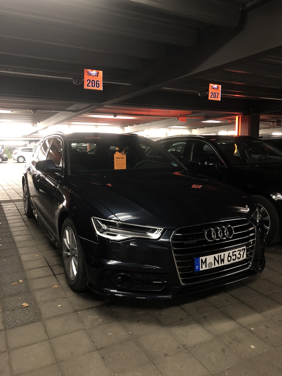 IMG_3464.jpeg