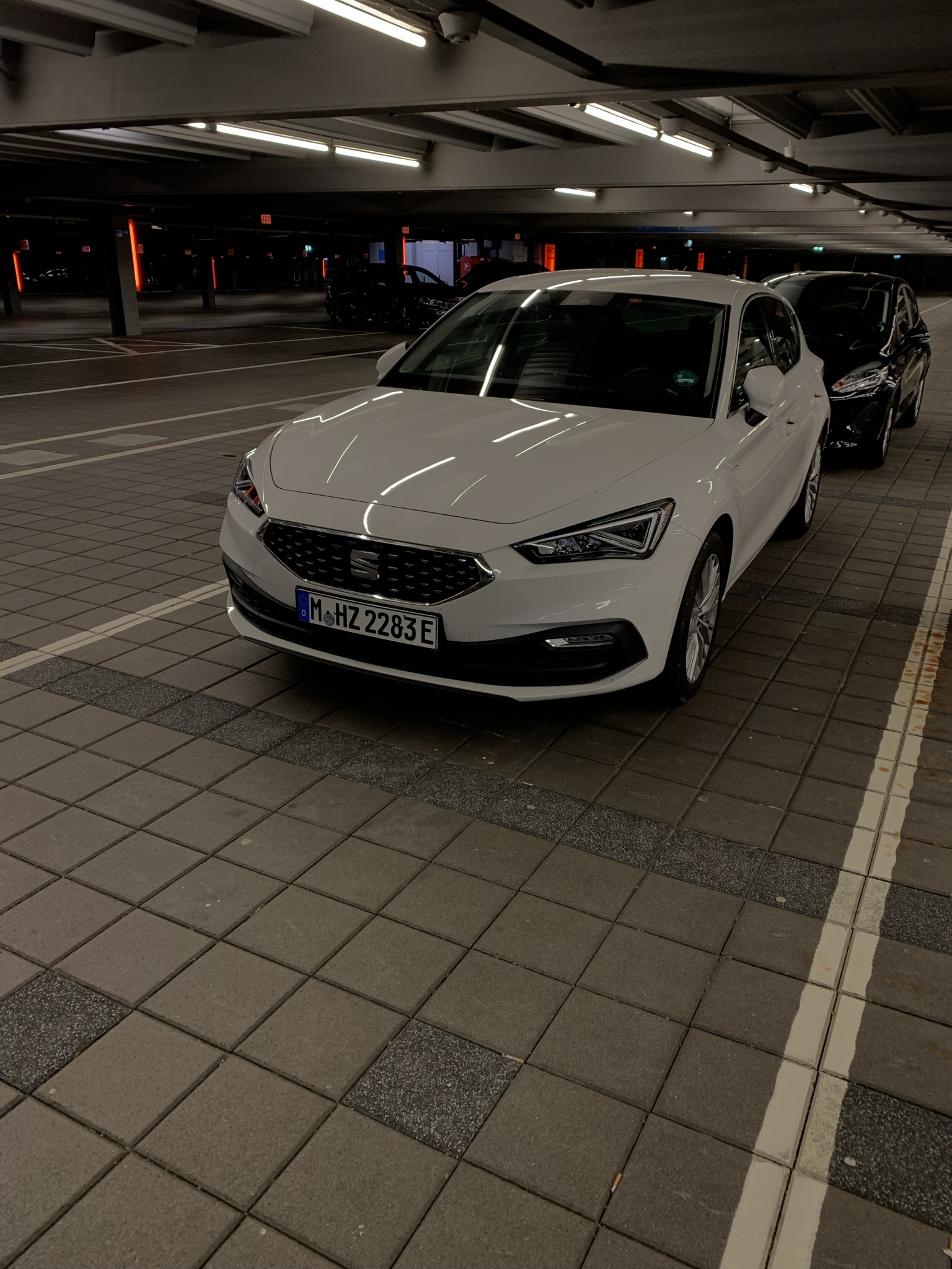 IMG_3461.JPEG