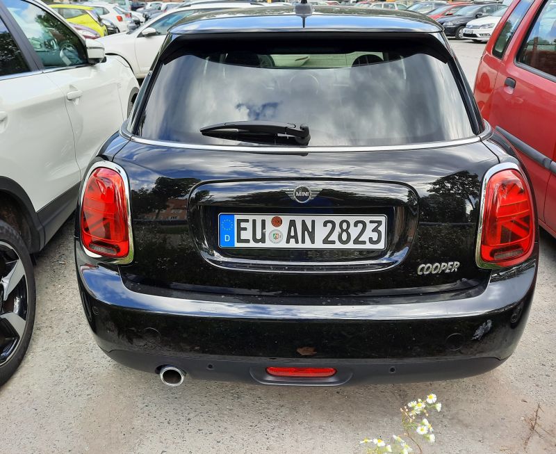 Avis (2).jpg